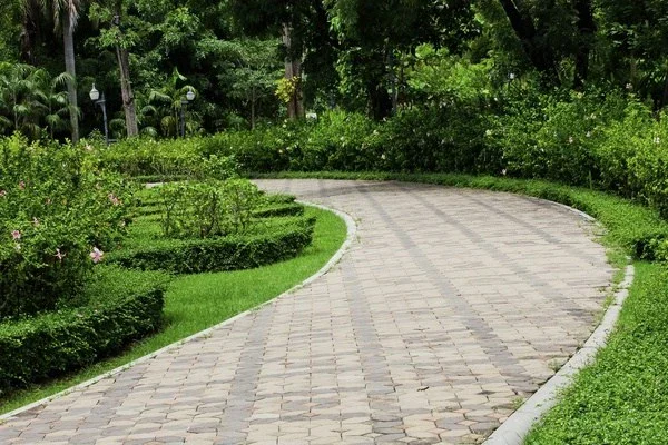 Ruben Armas Landscaping Rockford's other services