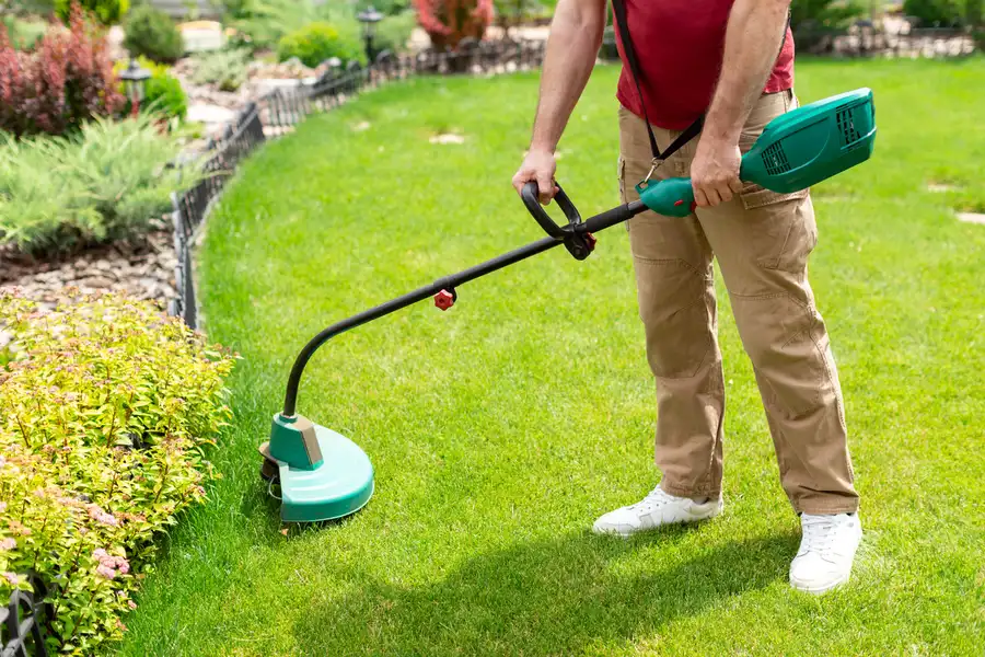 Expert Lawn Care Rockford, IL