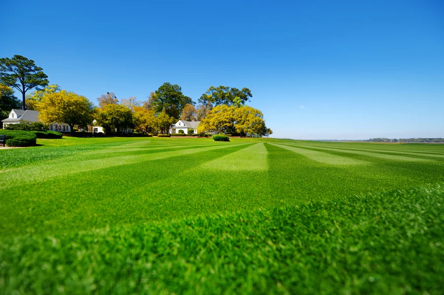 Lawn Care Mistakes Every Landscaper Should Avoid in Rockford, IL