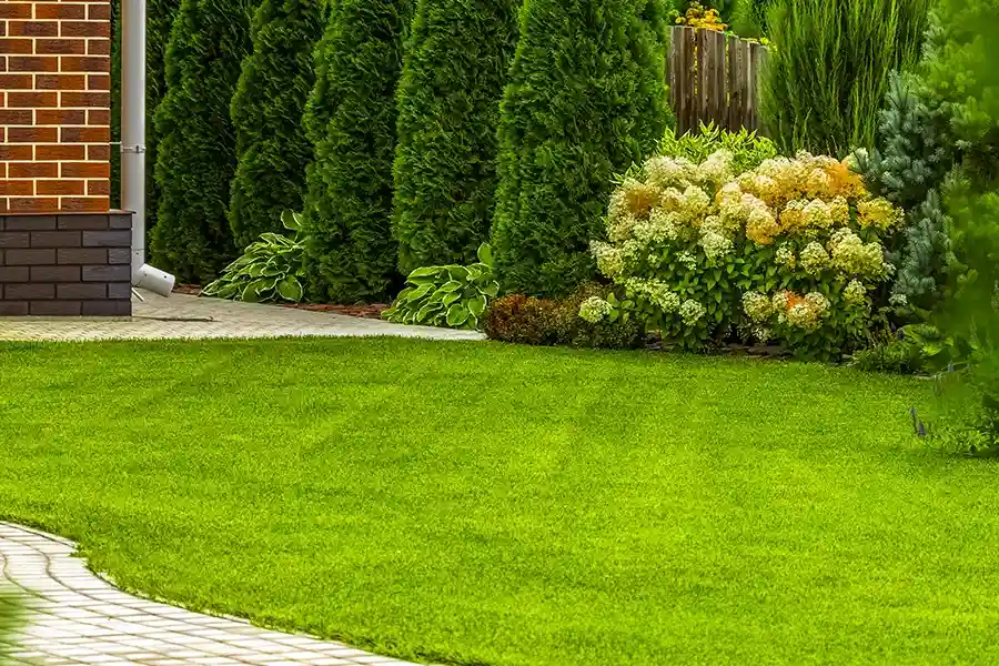 Premium Lawn Care Rockford, IL