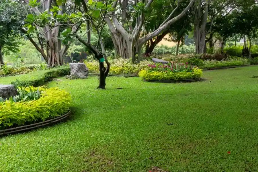 Quality Landscape Maintenance Rockford, IL