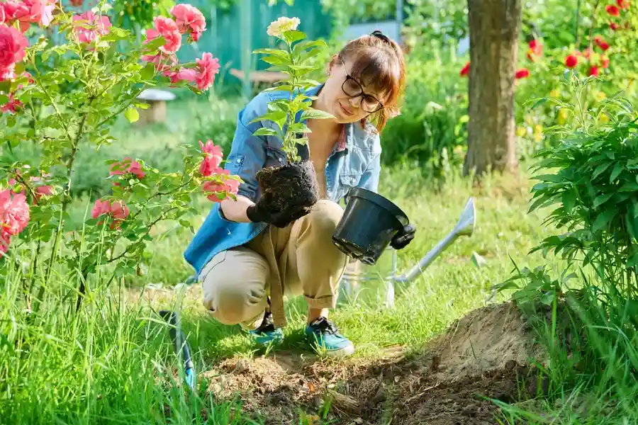 The Value Of Mulching Services In Maintaining Healthy Gardens Rockford, IL